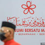Bersatu Youth reclaims party's official FB page, cries 'sabotage'