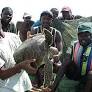 Protecting marine turtles in Mozambique's Primeiras and Segundas Archipelagos