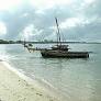 WWF and Mozambique government join forces to protect marine resources