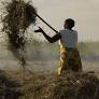 Mozambique: The farmers navigating conflict, climate change and Covid
