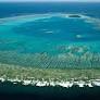 Local Scientists, Institutions Join Global Fight to Save Coral Reefs