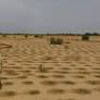 Land grabbing scandal in Burkina Faso: Withheld report exposes political corruption