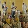 Mali: Armed groups learn about international humanitarian law