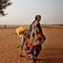 Escaping the Hunger Cycle
