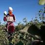 Perspectives | When will Uzbekistan get a truly independent trade union?