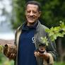 Ethiopia Aims to Plant Four Billion Trees by October