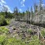 Wisconsin prepares for potential climate migration surge
