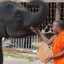 Sri Lanka Monk Demands Capture of Wild Elephants for Temples