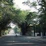 Colombo: (Lost) Garden City Of The East