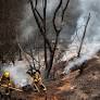 Chilean officials theorize deadly forest fires could have been intentionally caused