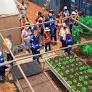 Coordinating a Global Strategy to Reduce the “Super Pollutant”