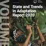 State and Trends in Adaptation Report 2020