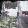Greenpeace Chile pressures new undersecretary over Patagonia 'salmon farming invasion'