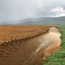 Sin ciencia del clima no hay resiliencia: el vacío que deja el fin del financiamiento al CR2 (Revista Ecociencias)