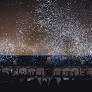 Ruinart Is Lighting Up Reims With a Bio-Illuminated Spectacle