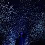 SPARK to Make Its U.S. Debut at the Breckenridge International Festival of Arts