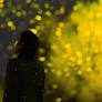 Singapore's Gardens By The Bay Lights Up With SPARK