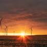 European Parliament adopts climate target for 2040 – despite right wing attempts at sabotage