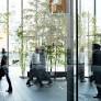 Milieudefensie Takes Legal Action Against ING Over Climate Impact