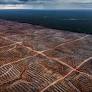 EU banks have poured €256 billion into sectors that threaten nature and climate
