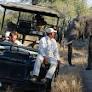7 Private Guides for Your Next Big Vacation, From Caviar Connoisseurs to Safari Savants
