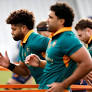 Wallabies boosted by returning Rob Valetini and Will Skelton for second Lions Test
