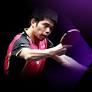 World Table Tennis