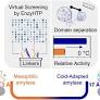 Enhancing Cold Adaptation of Bidomain Amylases by High-Throughput Computational Engineering