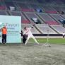 Japanese baseball star takes on world record with a paper plane