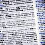 Bilingual dictionary can’t hide its love for Hanshin Tigers