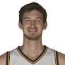 Tibor Pleiss