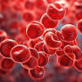 Developing a Malignant Hematology and Bone Marrow Transplant APP Fellowship