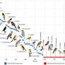 Does Participatory Bird Monitoring Provide Accurate Data for Ecological Research? An Experience in Rural Southwestern Mexico