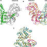 Challenges in drug discovery and description targeting Leishmania spp.: enzymes, structural proteins, and transporters