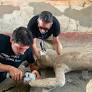 Plaster casts of victims of the Pompeii eruption may have contaminated the chemical composition of their bones - but bioarcheological analysis still suggests that they died of asphyxiation