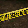 Who Was the MIT Professor Shot Dead? Portuguese Fusion Leader Nuno Gomes Loureiro