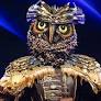 'Wasn't on my bingo card' - Former Tottenham star leaves fans stunned as he's unmasked as singing owl on hit TV show