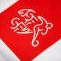 Developing football in Switzerland
