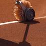 Tennis Live Scores News Videos Player Rankings