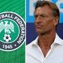 Nigeria: Janne Andersson and Herve Renard in running to be Super Eagles boss