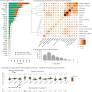 DiffInvex identifies evolutionary shifts in driver gene repertoires during tumorigenesis and chemotherapy
