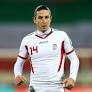 World Cup 2014: Andranik Teymourian will play for Iran