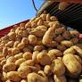 Potatoes are healthy, but french fries? Not so much, new study suggests.
