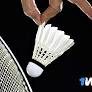 Malaysia’s Badminton Superstars: A Legacy of Excellence