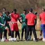 Benjamin must look at Afcon – analyst