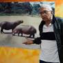 Colombian artists transform Pablo Escobar’s hippos and excesses into art