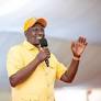 Ruto annouces plan to make UDA blueprint last beyond election cycle