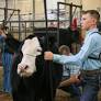 Kelly, Smith, Graves join 62 colleagues to offer National FFA Week resolution