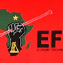 Economic Freedom Fighters (EFF) | Ideology, Leadership, & Facts