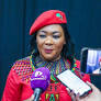The EFF labels the mini budget as a ‘a waste of time’
